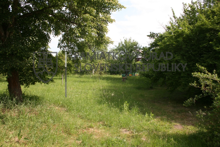 Identifikačná fotografia